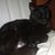 Carl Joyner's profile image