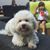 Claudia Bustamante's profile image