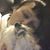 Lynn Hurley Ievoli's profile image