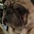 Theresa Mingus's profile image