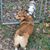 Cathy Heagy's profile image