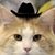 Lynn Luchtenburg's profile image