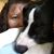 Jessica Martin Cote's profile image