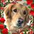 Nancy Trapp Bratt's profile image