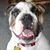 Debbie Kepi McCarthy's profile image