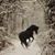 Susan E Fisher's profile image