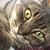 Gwyn Cantrell's profile image