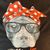Jennifer Wheeler's profile image