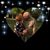Jacqueline Forell-Sage's profile image