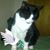 Jo Rhodie Smith's profile image