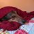 Michelle Merlo's profile image