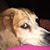Tracy Benoit-Ostendorf's profile image