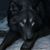 Nick Turechek's profile image