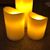Lynn Pascoe's profile image