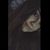 Amber Rain Jimenez's profile image