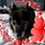 Jaime Lynn Quigley's profile image