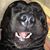 Adam Glasser's profile image