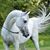 Summer Bergeron's profile image