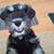 Merrie Hewitt's profile image