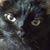 Ann Dolak's profile image