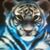 Sharon Beyer's profile image