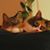 Gail Sexton Huddleston's profile image