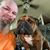 Cindy Weber Harrell's profile image