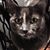 Kim Cook's profile image