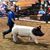 Gerry A Smith Jr's profile image