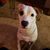 Gina Brunori Miller's profile image