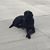 Robert Brouse's profile image