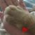 Anni Marie Martin's profile image