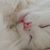 Meg Reider's profile image