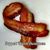 Shawn Guffey's profile image