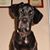 Marietta Geers's profile image