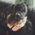 Allison Faith James's profile image