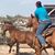Pate Caddell's profile image