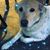 Jillene Toot Johnson's profile image
