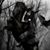 Lorette DeRaad's profile image
