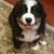 Mimi Brick Aherne's profile image