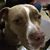 Barbara Eckenrode's profile image