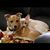 Trina Rigden Uribe's profile image
