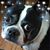 Wendolyn Childress's profile image