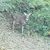 Terri Goist Heinrich's profile image