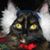 Amy Aanstad's profile image