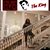 Wendy Swiger Eaton's profile image
