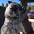 Chuck Sussman's profile image