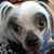 Colleen Shaughency's profile image