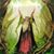 Hedin Manus Brugh's profile image