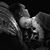 Lia Espinoza-Brown's profile image
